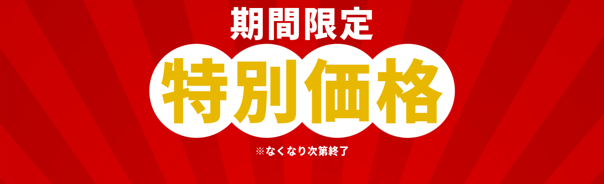 期間限定 特別価格