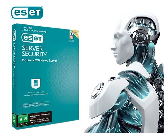 使用時間少　Windowsサーバー2022 MousePro RV-X3S01 MousePro RV-X3S01│デスクトップパソコンの通販ショップ マウス